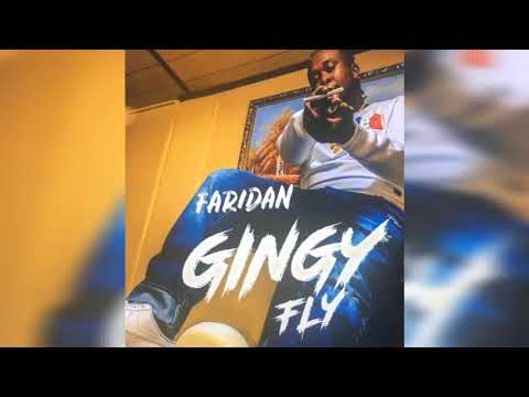 Fari Dan - Gingy Fly