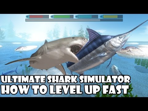 Ultimate Shark Simulator -How to Level Up Fast- Android/iOS - Gameplay - YouTube