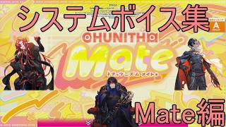 チュウニズムボイスよくばりセット(CHUNITHM Mate編)