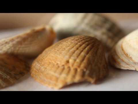 Stones and Shells on Kilmuckridge Beach