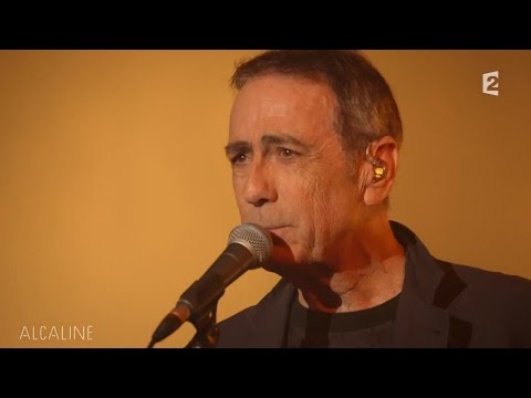 Alcaline, le Mag : Alain Chamfort - Joy en live