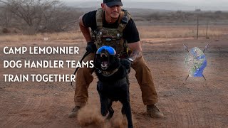 Camp Lemonnier dog handler teams train together