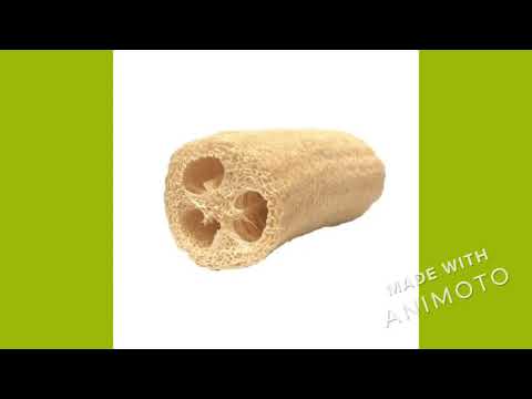 Disposable Loofah Scrubber
