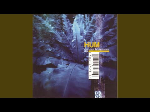 Isle Of The Cheetah - Hum