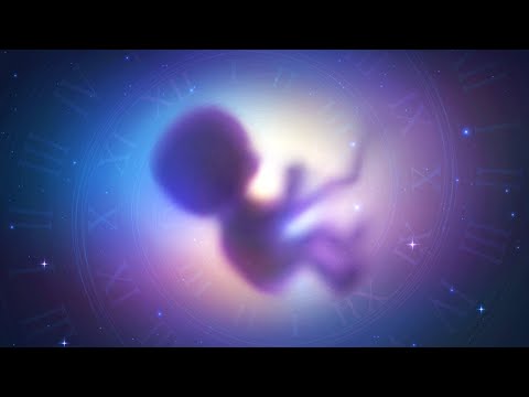 Why Reincarnation Could be Possible