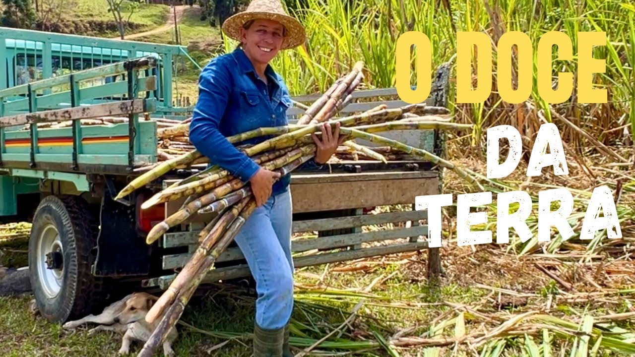 DA TERRA O AÇÚCAR - DA CANA O BOLO - VIDA SUSTENTÁVEL