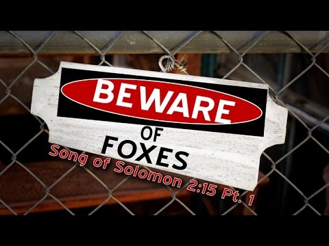 SONG OF SOLOMON 2: 15 (PASTOR TONY CLARK) 03/19/2017