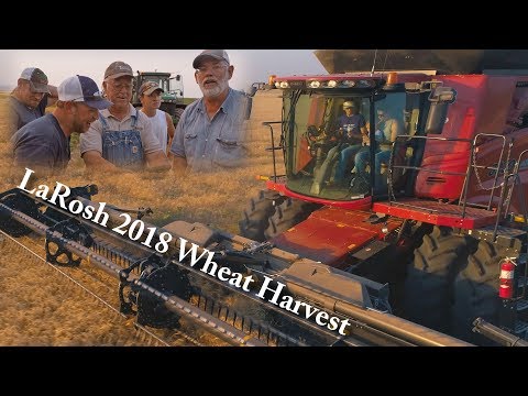 LaRosh 2018 Wheat Harvest (4K)
