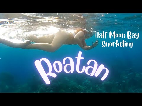 image-Can you snorkel off the beach in Roatan?