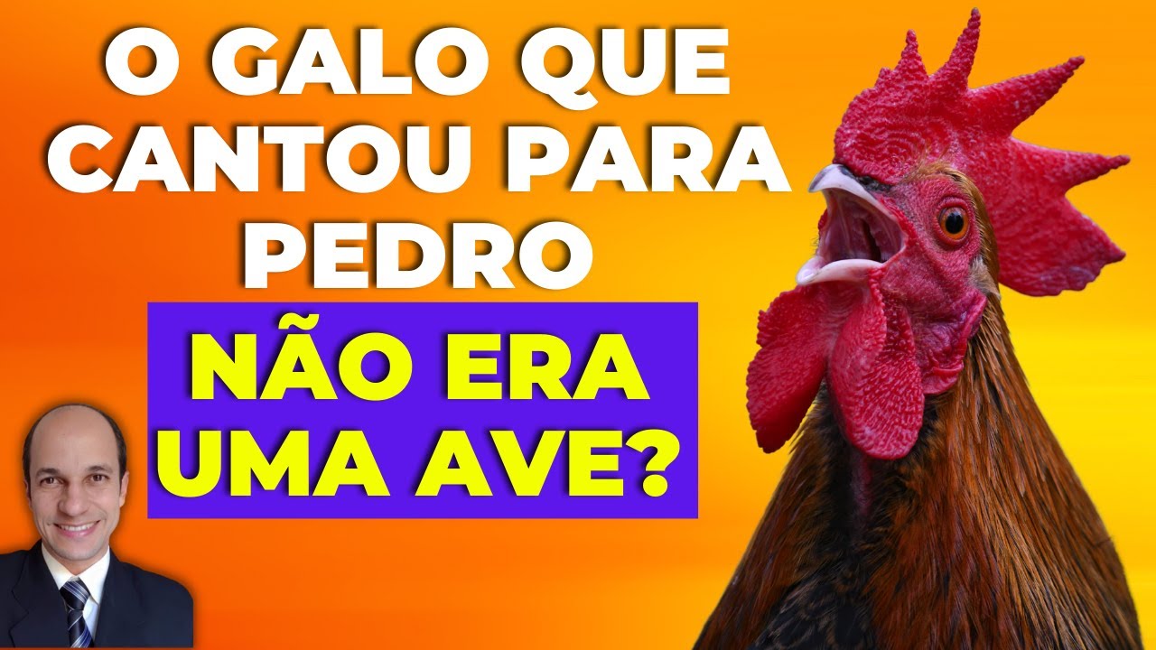 GALO NA BÍBLIA: O galo que cantou quando Pedro negou Jesus não era uma ave?