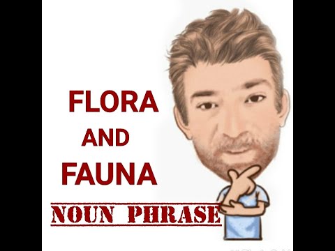 English Tutor Nick P Noun Phrase (403) Flora and Fauna  - Origin