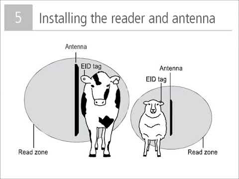 TRU-TEST XRP2 EID Panel Reader