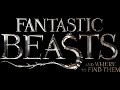 Fantastic Beasts and Where to Find Them (Hedwig's Theme Instrumental Beat)