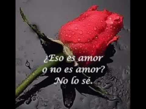 ROXETTE - No se si es amor
