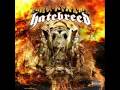 Hatebreed Everyone Bleeds Now