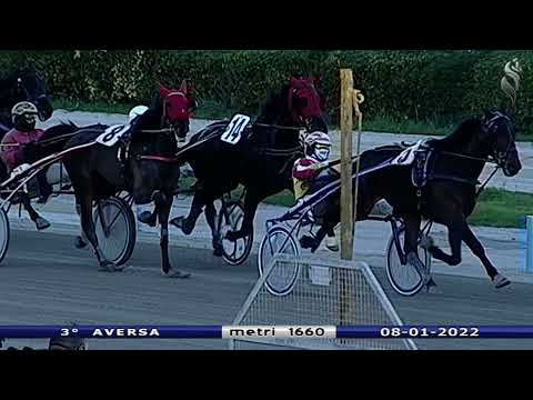Aversa trotto 8 Gennaio 2022 - 3° Corsa