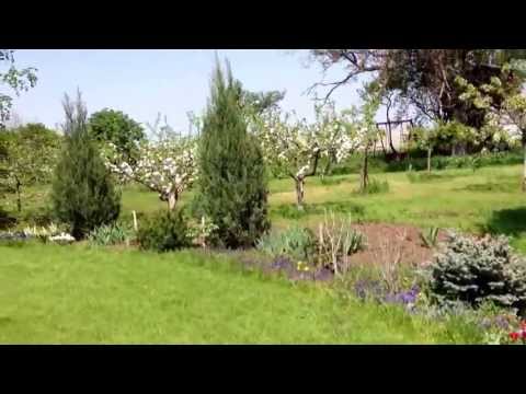 Frumusani , sfarsit de Aprilie 2013