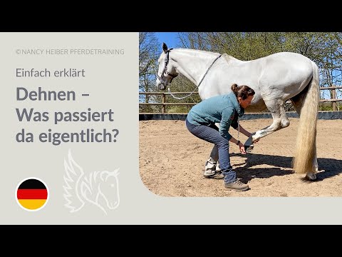 Das solltest du verstehen, bevor du Dehnübungen mit deinem Pferd machst.