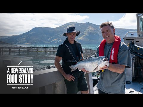 NZ Salmon in Akaroa . Healthy, versatile and committed to sustainability