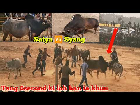 Satya bad Syang ïa tur masi Today 2026 La ihun shisha Dung u Syang ïa u Satya 6inches ngamshapoh