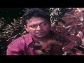 Bhojpuri Actress