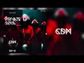 CDM PRIVATE SOUL 12 LIVE SET