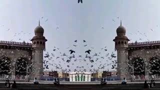 preview picture of video 'You'll love Hyderabad after watching this.'