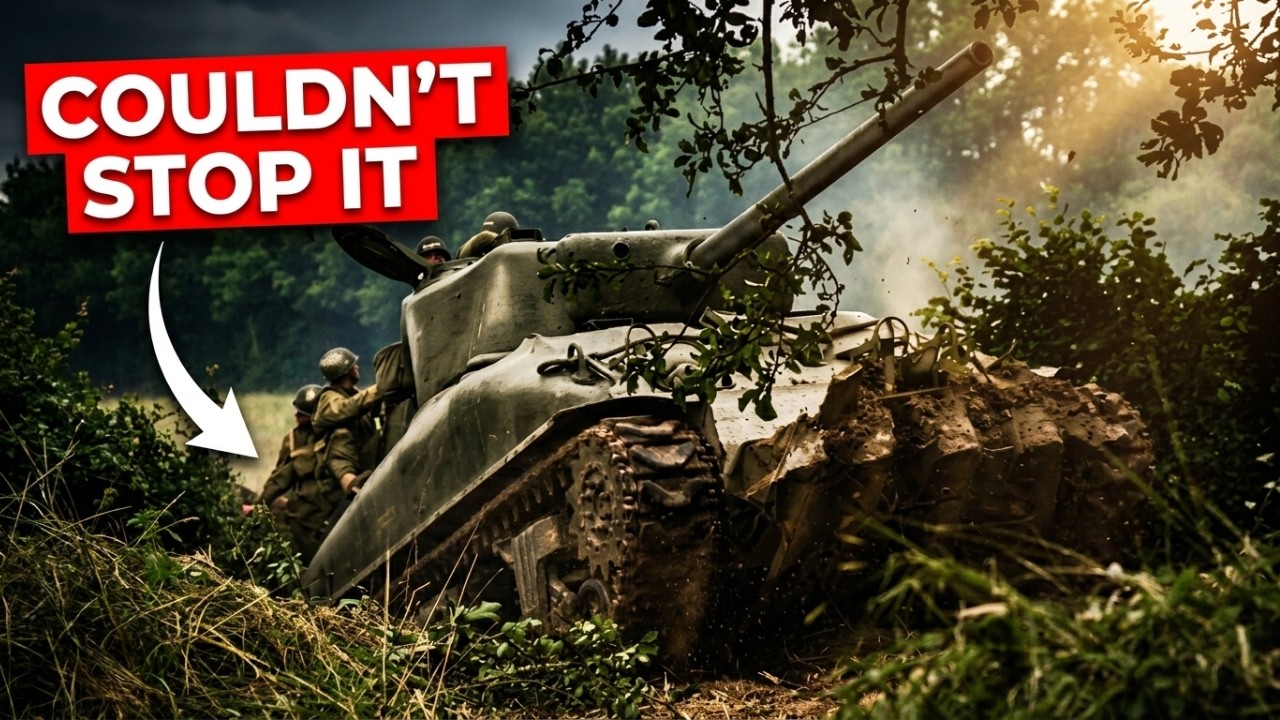 How U.S. Troops Turned Normandy Hedgerows Into a Weapon Germans Couldn’t Stop