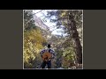 The Catfish Stomp