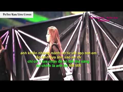 SNSD / Girls' Generation - Mr. Mr.  (Cover PeTer Kan )