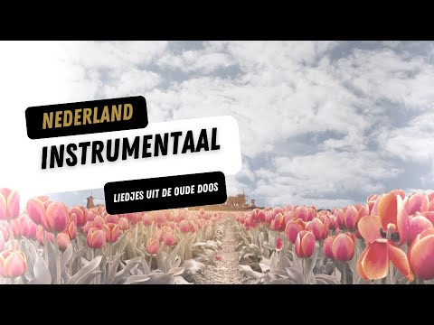 Liedjes uit de oude doos | Nederlandse liedjes van vroeger | Instrumentaal