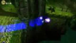 preview picture of video 'Sonic Adventure 2: Green Forest M3 (OLD)World Record 52:47'