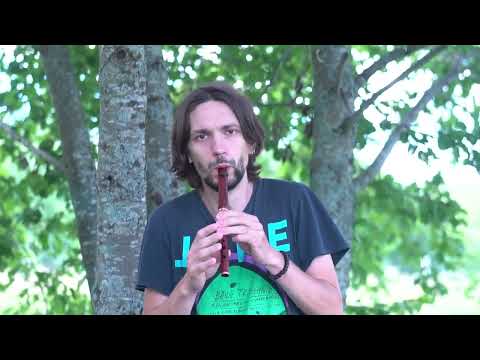 Hi D rosewood tinwhistle