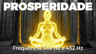 Meditação Para Atrair Prosperidade e Abundância | Frequência 369 Hz e 432 Hz