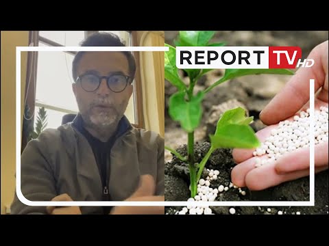 'Një tymuese e hedhur në parlament', Braçe i përgjigjet importuesit të plehrave kimike: Hetim