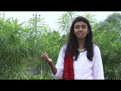 ASFLive - Contestant - Shrishti Chakraborty