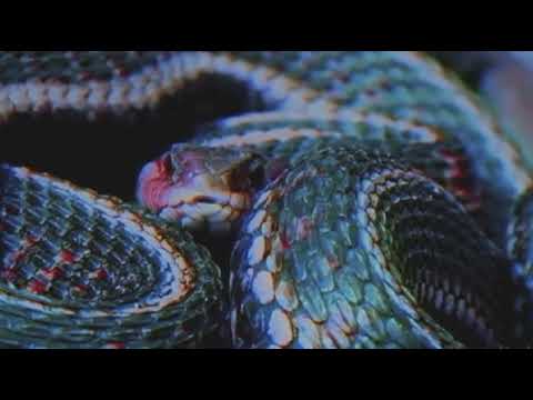 Luísa Sonza-ANACONDA *o* ~~~ (Slowed•Reverb) feat.Mariah Angeliq
