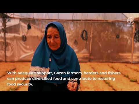 Protecting Gaza’s agriculture and livelihoods