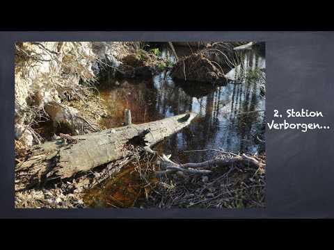 Station02 - Passionsgang im Moor
