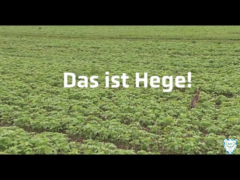 Das ist Hege: Ein Reviergang mit Ilse Aigner in Oberbayern #wirsinddieguten