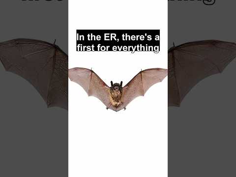 There's never a dull moment 🦇 #MedicalEducation #ERdoctor #medical #doctor #emergency #medicine