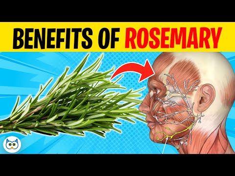 10 POWERFUL Health Benefits of ROSEMARY You Didn't Know About