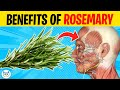 10 POWERFUL Health Benefits Of ROSEMARY You Didn T Know About