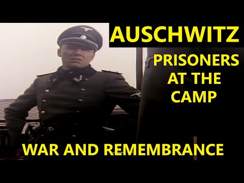 Auschwitz, Prisoners at the Camp