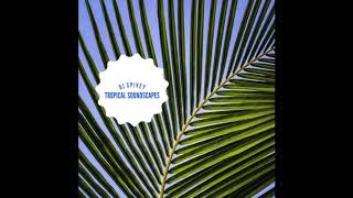 &quot;Tropical Soundscapes&quot; (A Soulful House Mix) by DJ Spivey