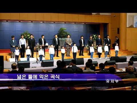 [19.11.10]유치부 - 넓은 들에 익은 곡식, 하나님의 일꾼 대표이미지