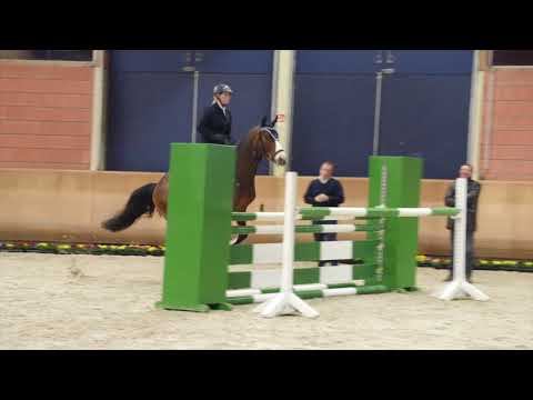 Cascadello Boy RM | Ferienhof Stücker