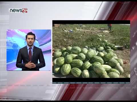 TODAY FATAFAT NEWS - NEWS24 TV