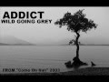 ADDICT- WILD GOING GREY