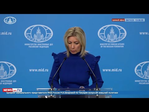 Maria Zakharova: Russia will deliver 40 tons of humanitarian aid to Armenia in coming days